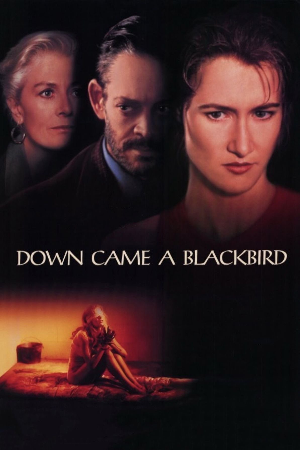 Постер Down Came a Blackbird